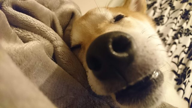 事務スタッフ　黒田